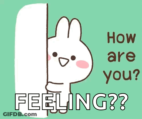 Bunny Peeking From Behind Wall Saying How Are You Feeling GIF