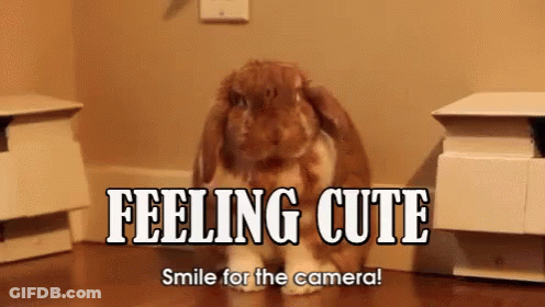 Bunny Rabbit Feeling Cute Smile For Camera GIF