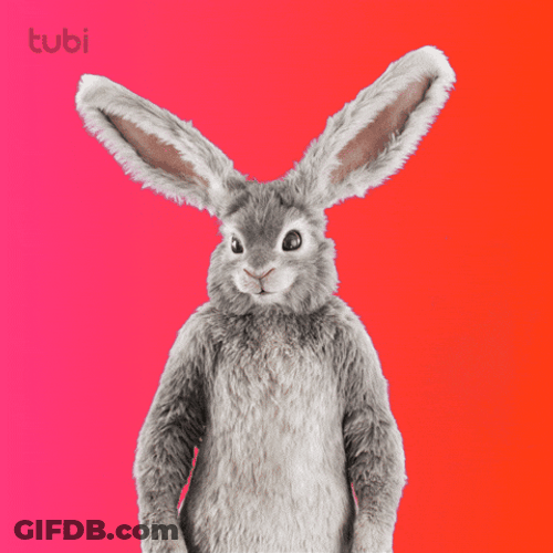 Bunny Rabbit Im Him GIF