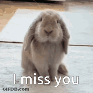 Bunny Rabbit Saying I Miss You GIF