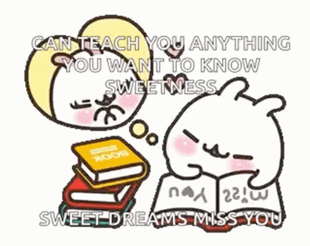 Bunny Rabbit Studying Dreaming GIF