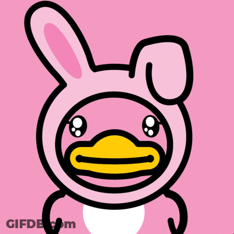 Bunny Rabbit Wallpaper GIF