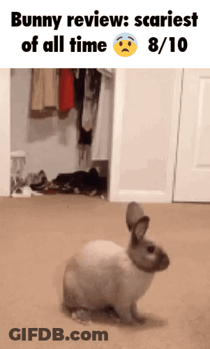 Bunny Review Scariest Of All Time GIF