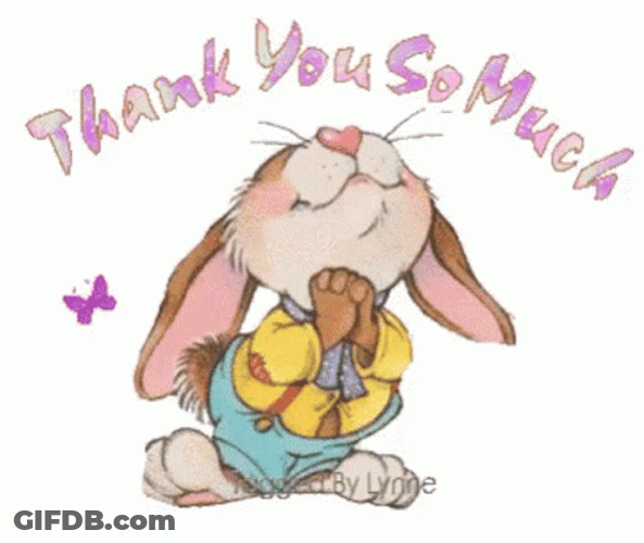 Bunny's Gratitude GIF