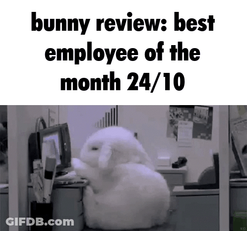 Bunny Saying Bunny Review Best Employee Of The Month 24/10 GIF