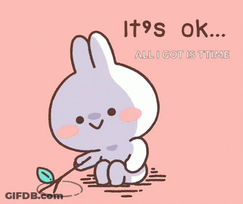 Bunny Saying It's Ok All I Got Is Time GIF