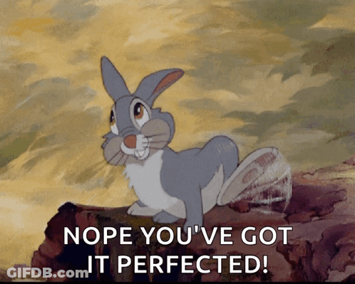 Bunny Saying Nope You've Got It Perfected GIF