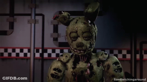 Bunny Saying Sandwiching Around GIF