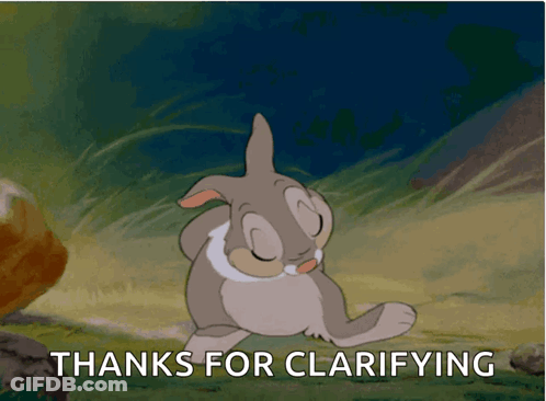 Bunny Saying Thanks For Clarifying GIF
