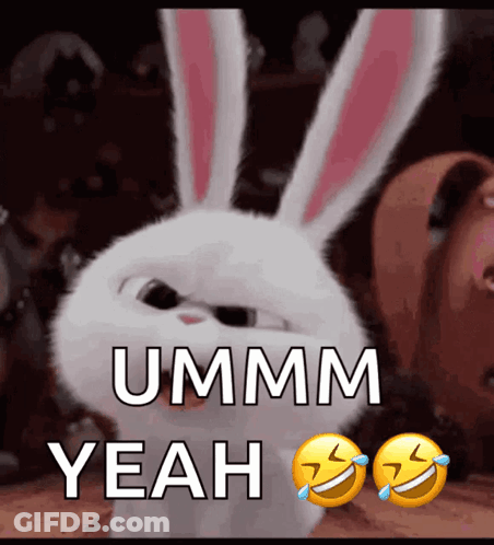 Bunny Saying Ummm Yeah GIF