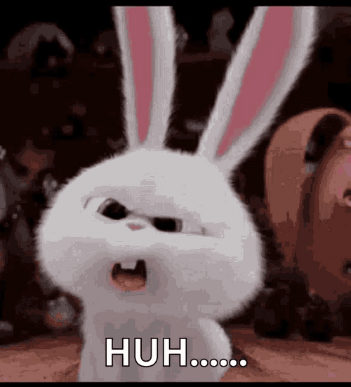 Bunny Snowball Saying Huh GIF