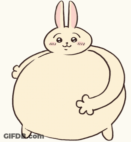 Bunny With Huge Belly And Ears GIF