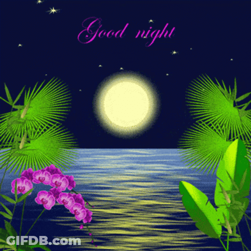 Buona Notte Beautiful Night Ocean View GIF