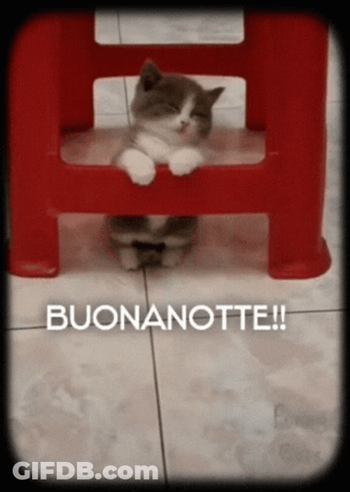 Buonanotte Sleepy Cat GIF