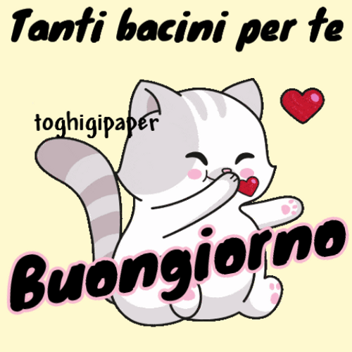 Buongiorno Cat Blowing Heart Kisses GIF