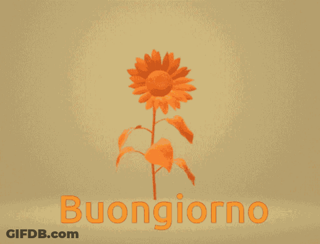 Buongiorno Slow Spinning Flower Computer Art GIF