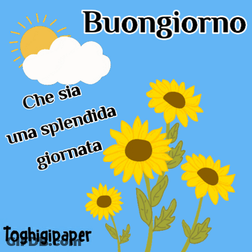 Buongiorno Sunflowers Computer Graphics GIF