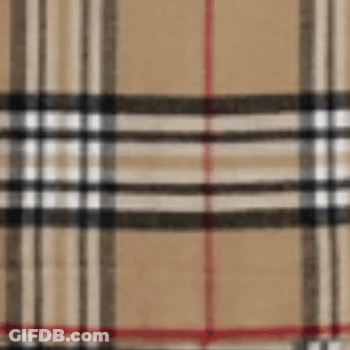Burberry Plaid Fabric Close Up GIF