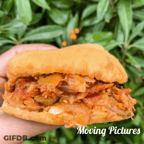 Burger Food Moving Pictures GIF