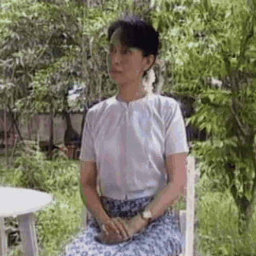 Burma Leader Aung San Suu Kyi GIF