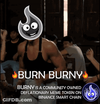 Burn Burny Is A Community Owned Meme Token On The Binance Smart Chain GIF