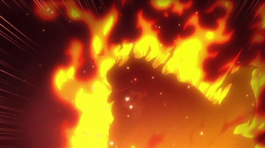 Burn Jotaro JJBA Anime GIF