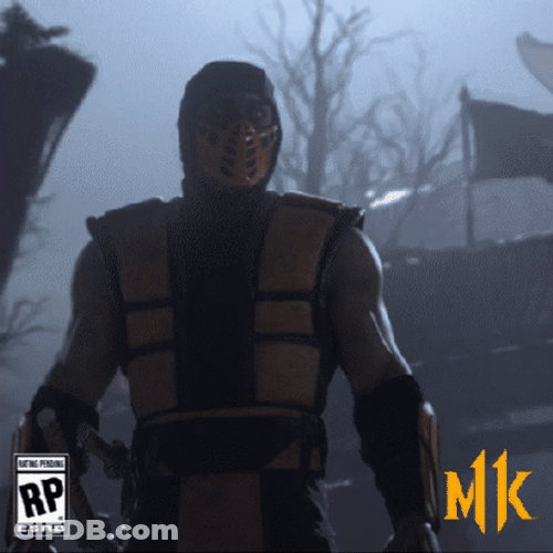 Burn Up Mortal Kombat Fatality GIF