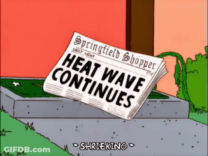 Burning Butterfly Dry Heat GIF