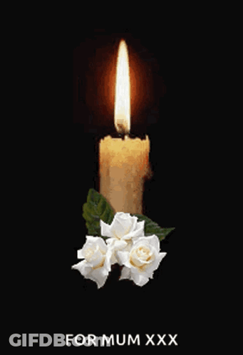 Burning Candle With White Roses For Mum Xxx GIF