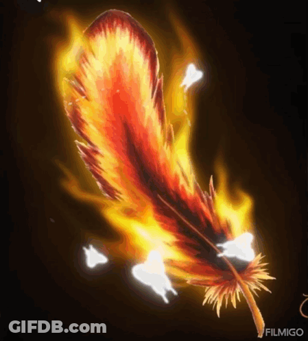 Burning Feather With Filmigo GIF