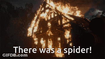 Burning House With Spider GIF
