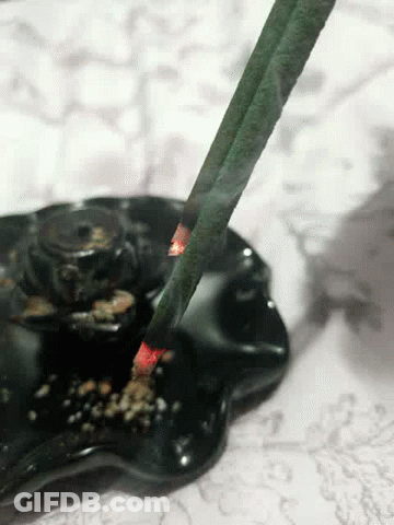 Burning Incense Stick In Holder GIF