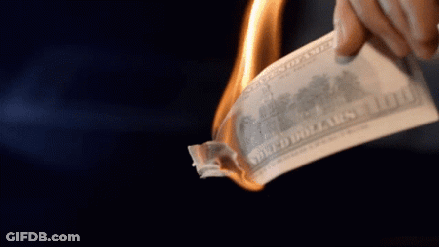 Burning Money Benjamin Hundred Dollars Slow GIF