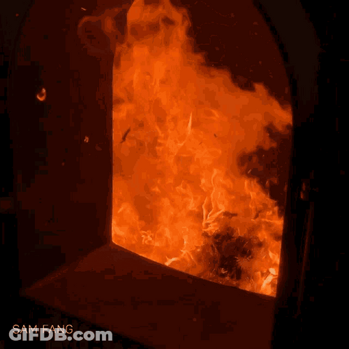 Burning Money Flames Fireplace Asian GIF