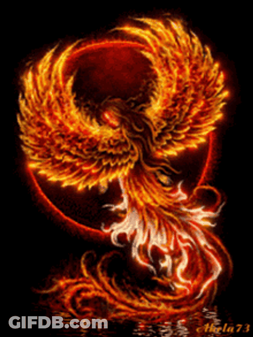 Burning Phoenix Wallpaper GIF