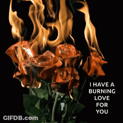 Burning Roses With I Have A Burning Love For You GIF