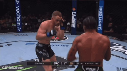 Burns Vs Della Maddalena Boxing Match GIF