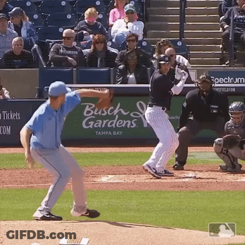 Busch Gardens Sponsors Baseball Game GIF