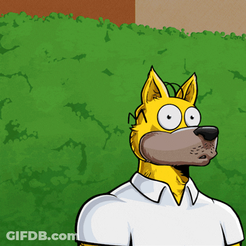 Bush Cat Dogs GIF
