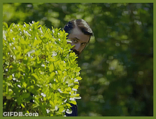 Bush Dolunay Hakan Stalk GIF