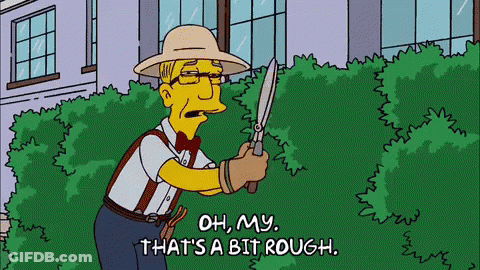 Bush GIF