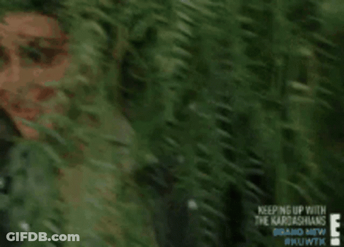 Bush Kim Kardashian GIF