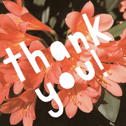 Bush Lily Animated Thank You GIF