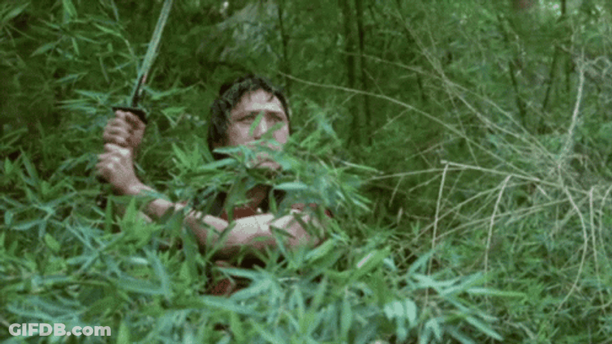 Bush Miami Connection GIF