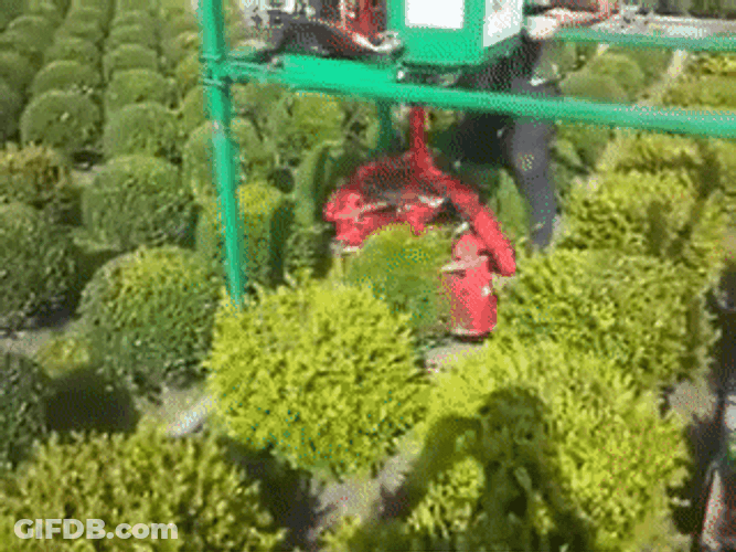 Bush Trimmer Machine GIF