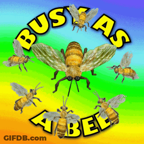 Busy As A Bee Im Busy GIF
