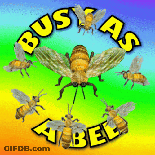 Busy As Bee GIF