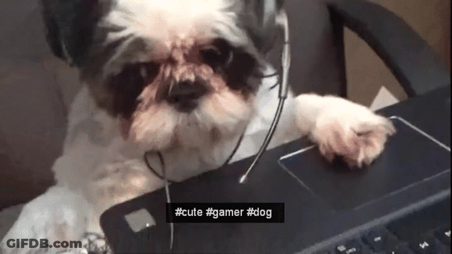 Busy Cute Gamer Dog GIF