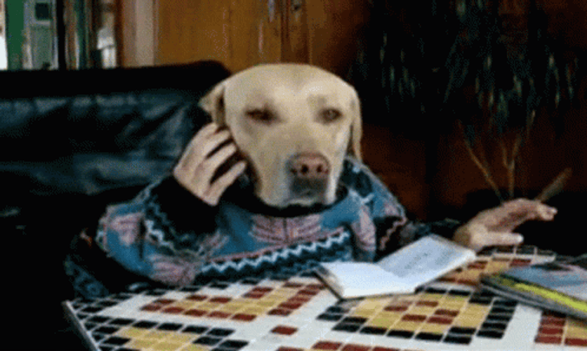 Busy Dog On Phone GIF