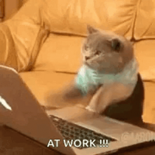 Busy Typing Laptop Work GIF